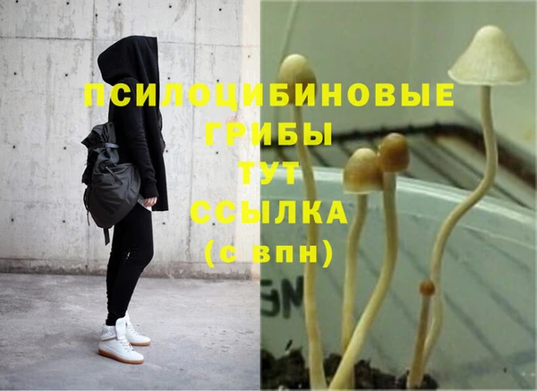 дмт Коряжма