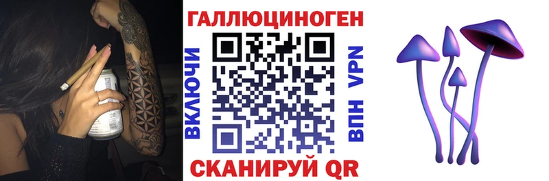 Купить где Пионерский Псилоцибиновые грибы Psilocybe